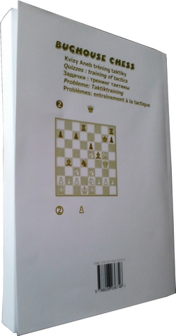 Bughouse chess book