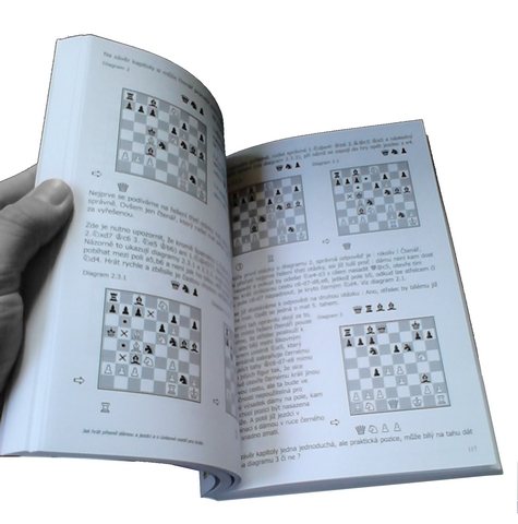 Foto otevřené knížky o bughouse šachu 